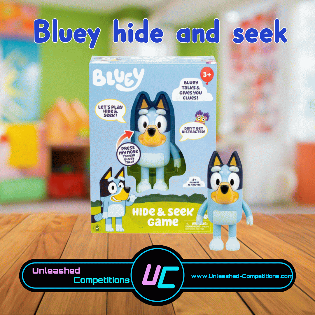 Bluey Hide And Seek